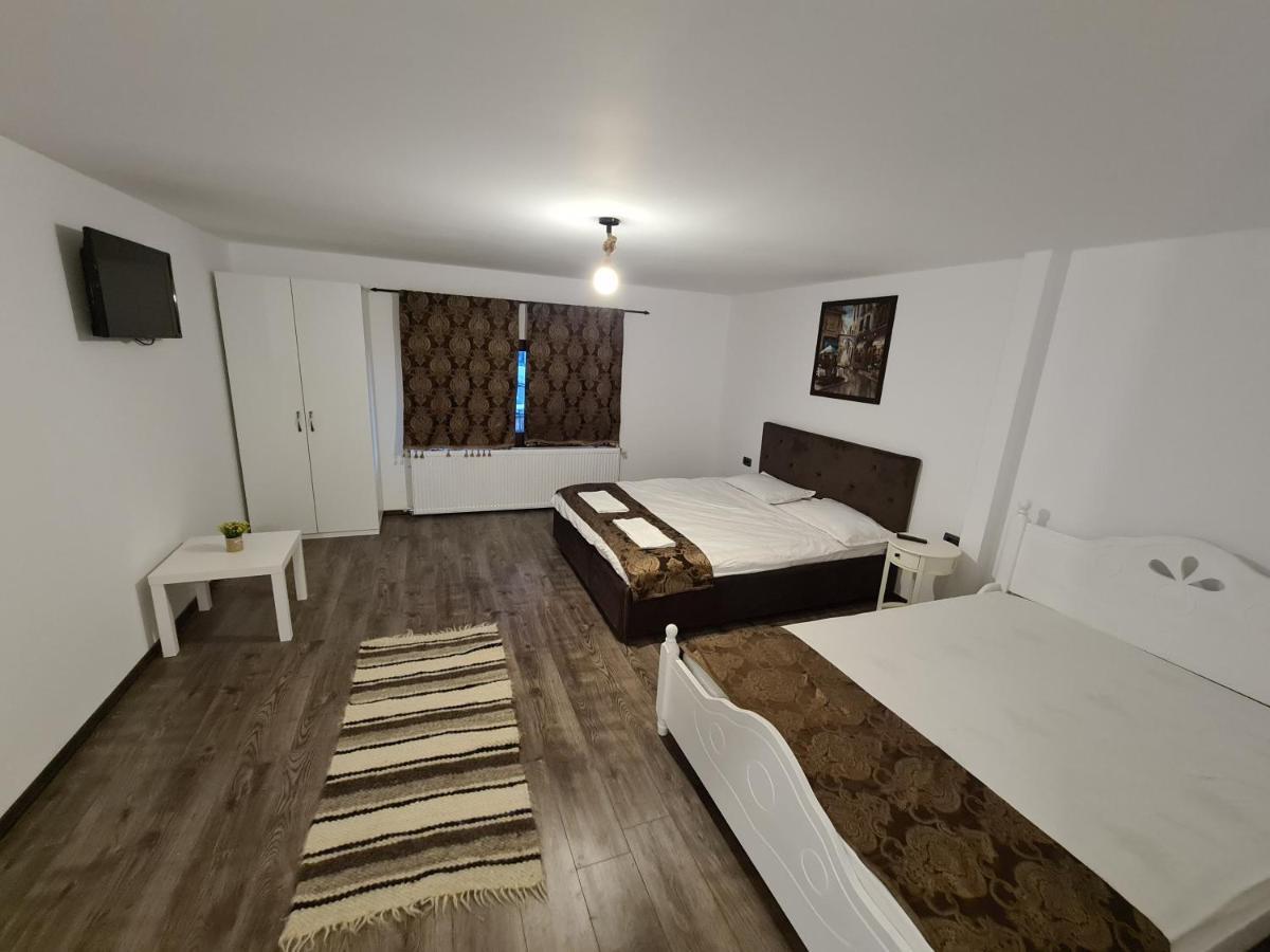 Hôtel Vila Sia à Râmnicu Vâlcea Extérieur photo